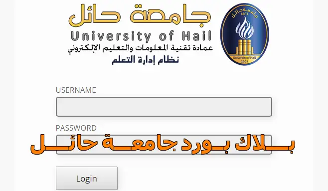 بلاك بورد جامعه حائل